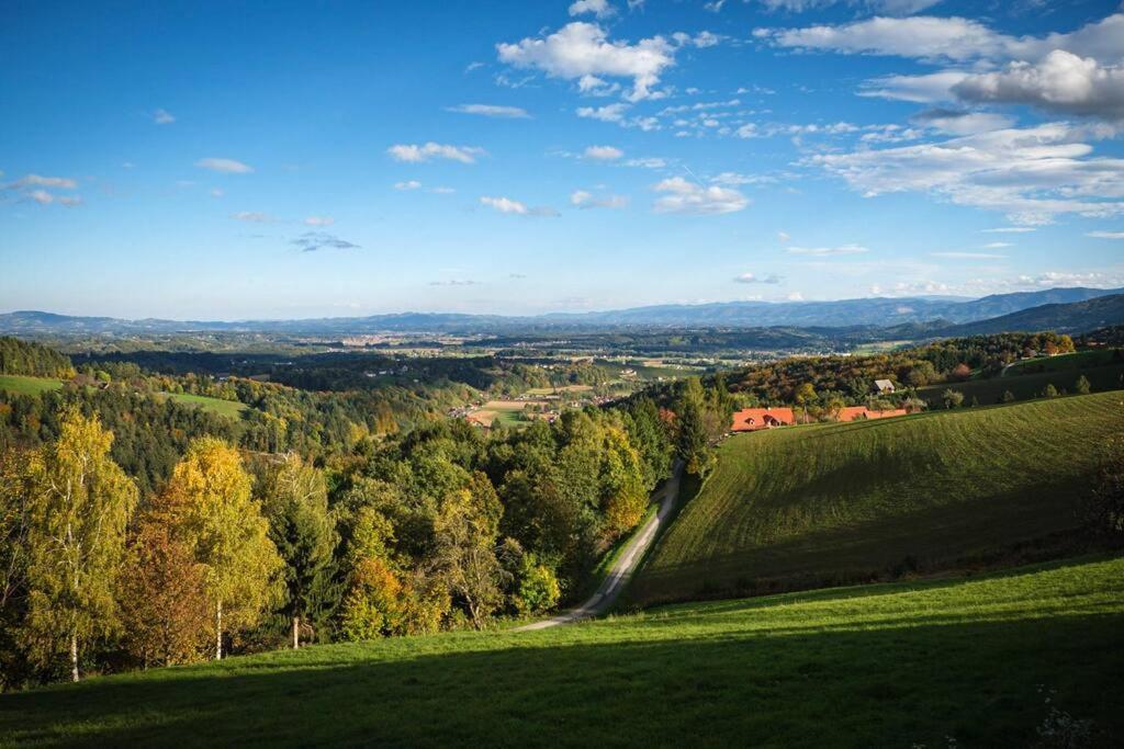 Chalet-Suedsteiermark - Traumhafte Aussicht, Infinity Pool, Privatsphaere, Klima Und De-Luxe Ausstattung Schwanberg Exteriér fotografie